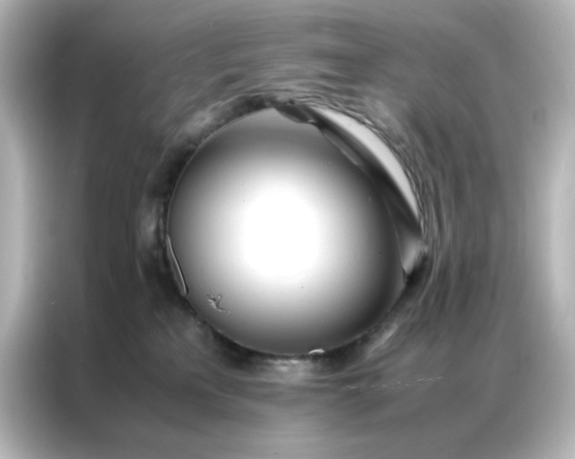 X0000086990233200704301344