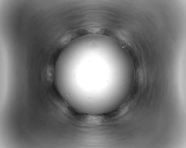 X0000086990234200704301344