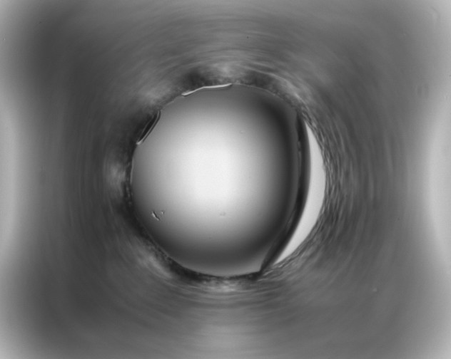 X0000086990235200704301344