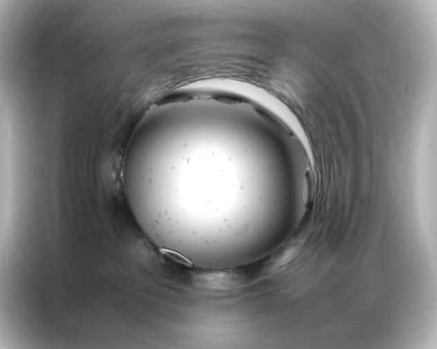 X0000086990237200704301344