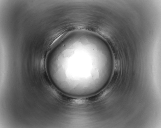 X0000086990238200704301344