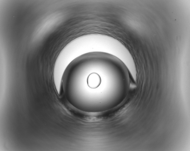 X0000086990239200704301344