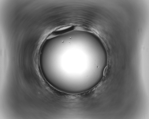 X0000086990241200704301343