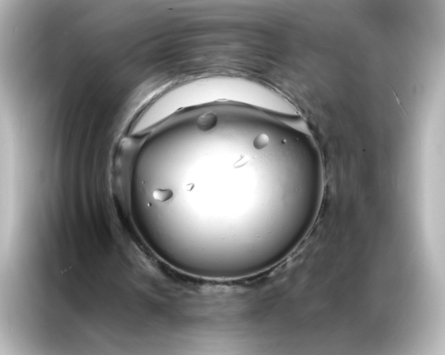 X0000086990242200704301343