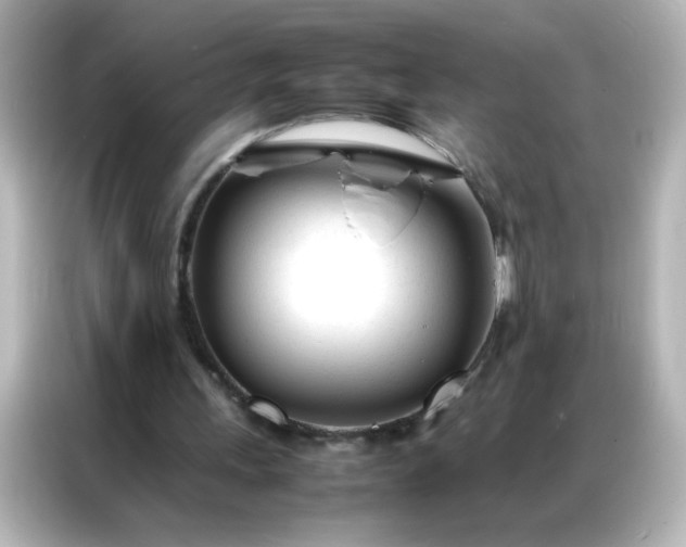 X0000086990243200704301343