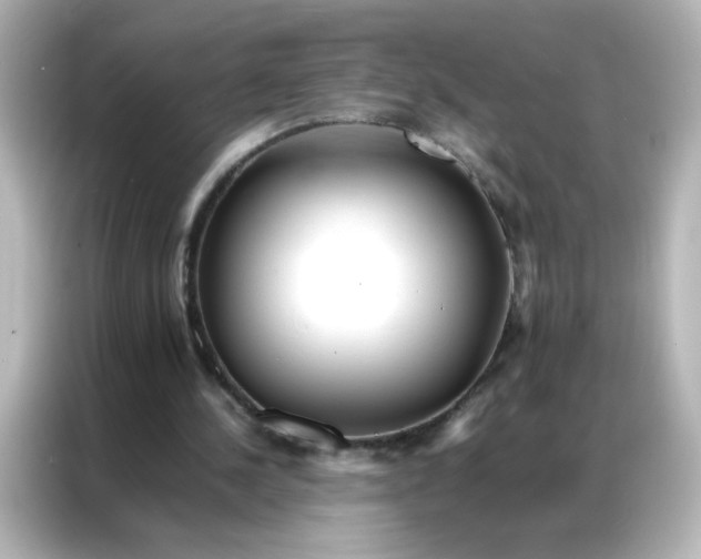 X0000086990244200704301343