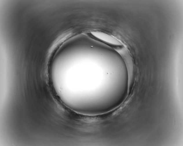 X0000086990245200704301343