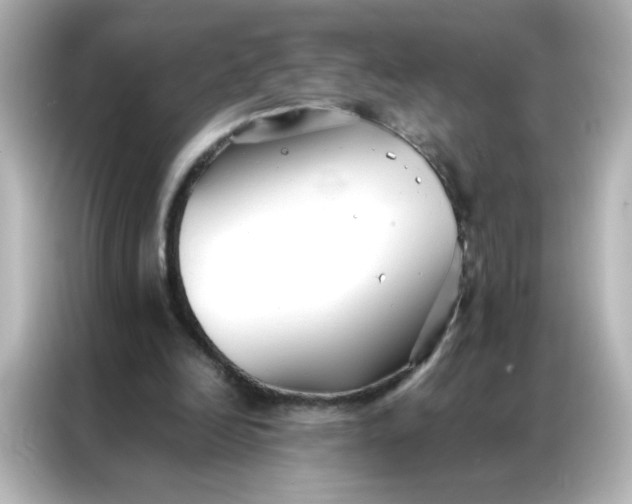 X0000086990246200704301343