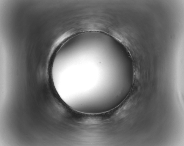 X0000086990248200704301343