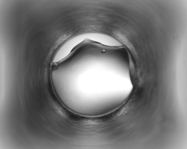 X0000086990250200704301343