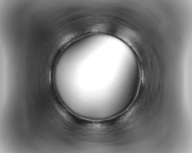 X0000086990253200704301343