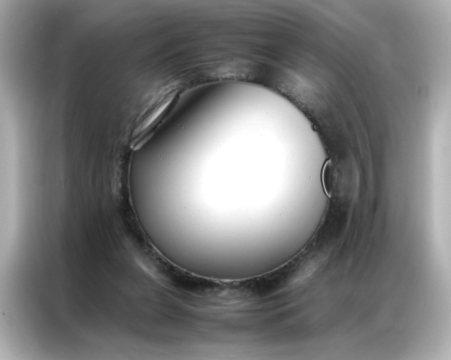 X0000086990255200704301343