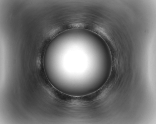 X0000086990259200704301343