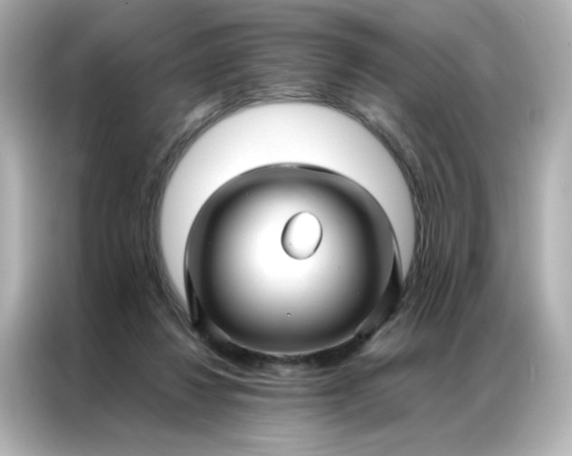 X0000086990260200704301343