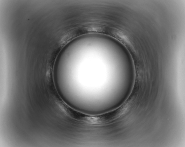 X0000086990265200704301343