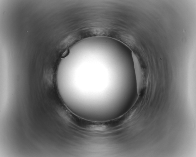 X0000086990266200704301343