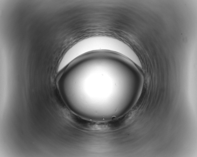 X0000086990270200704301343