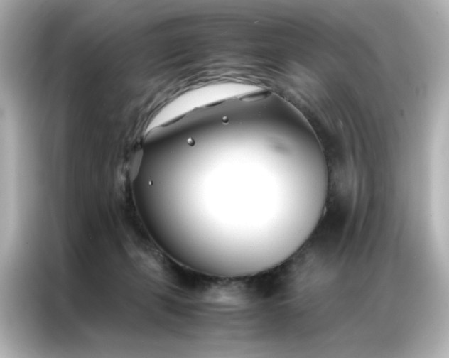 X0000086990271200704301343