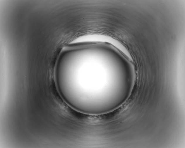 X0000086990272200704301343