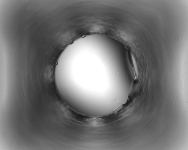 X0000086990273200704301343