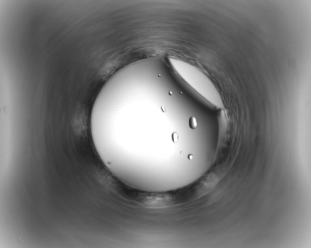 X0000086990274200704301343