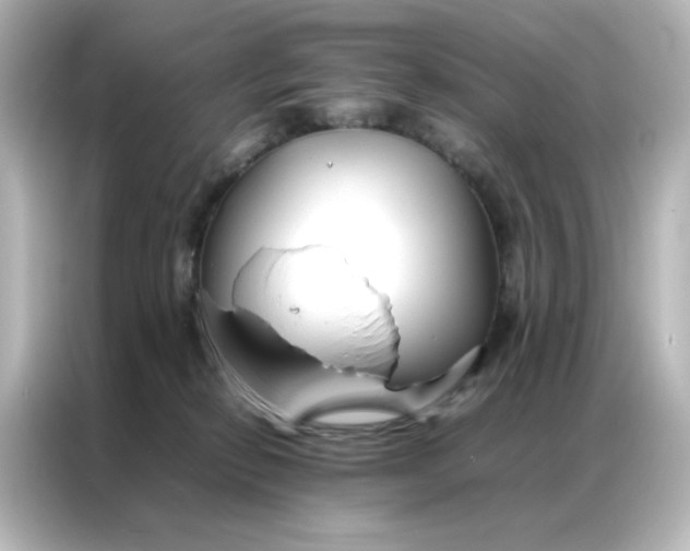 X0000086990278200704301343