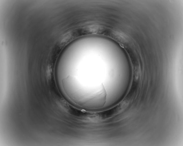 X0000086990279200704301343