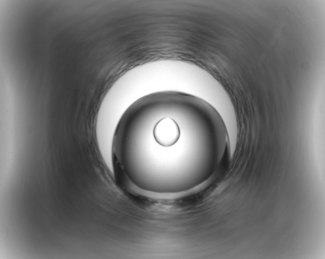 X0000086990280200704301344