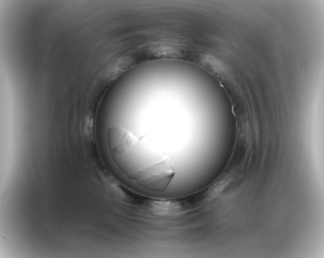 X0000086990281200704301344