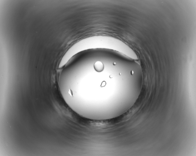 X0000086990282200704301344