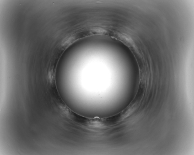 X0000086990285200704301344