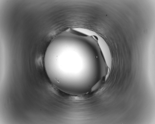 X0000086990286200704301344