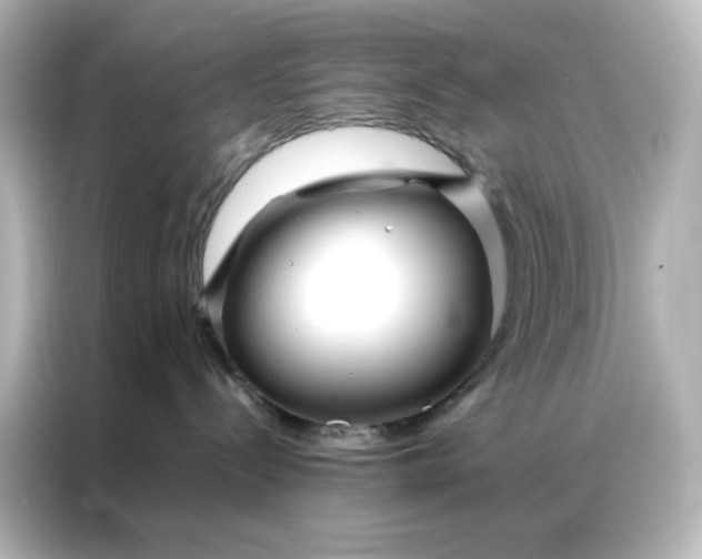 X0000086990288200704301344