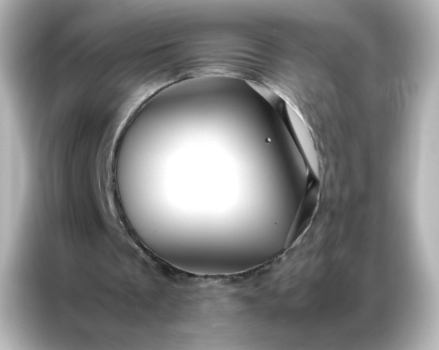 X0000086990289200704301343