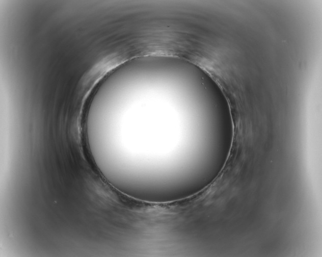 X0000086990290200704301343