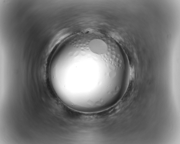 X0000086990291200704301343