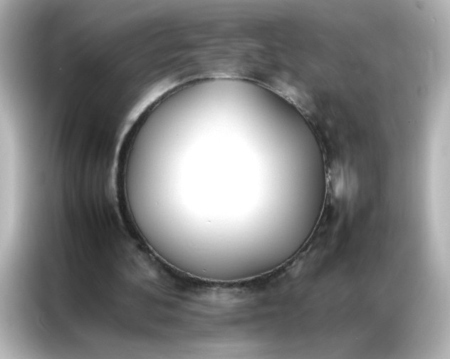 X0000086990292200704301343