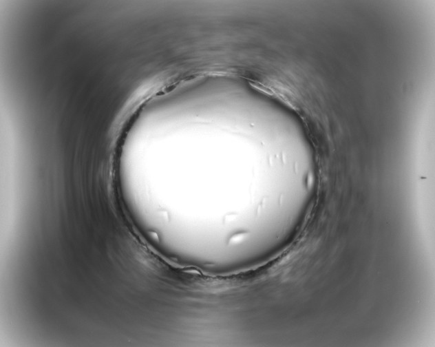 X0000086990293200704301343