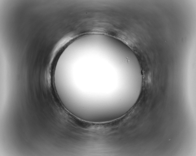 X0000086990294200704301343