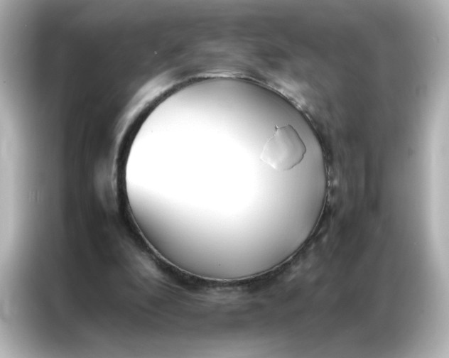 X0000086990296200704301343