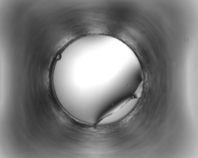 X0000086990298200704301343