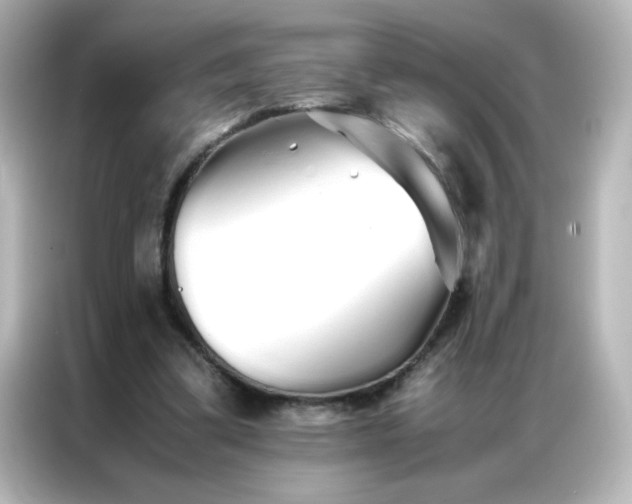 X0000086990299200704301343