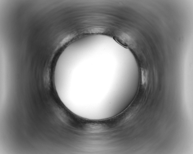 X0000086990300200704301343