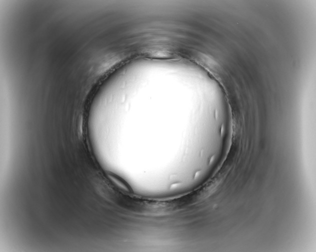 X0000086990301200704301343