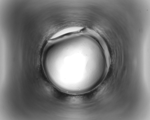 X0000086990303200704301343