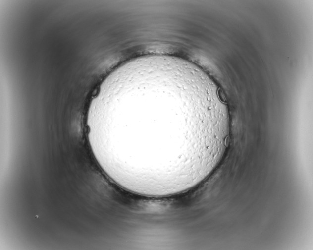 X0000086990305200704301343