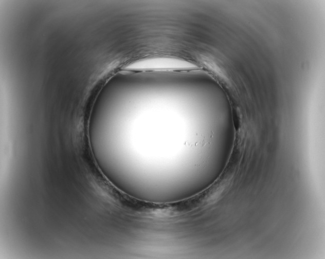 X0000086990306200704301343