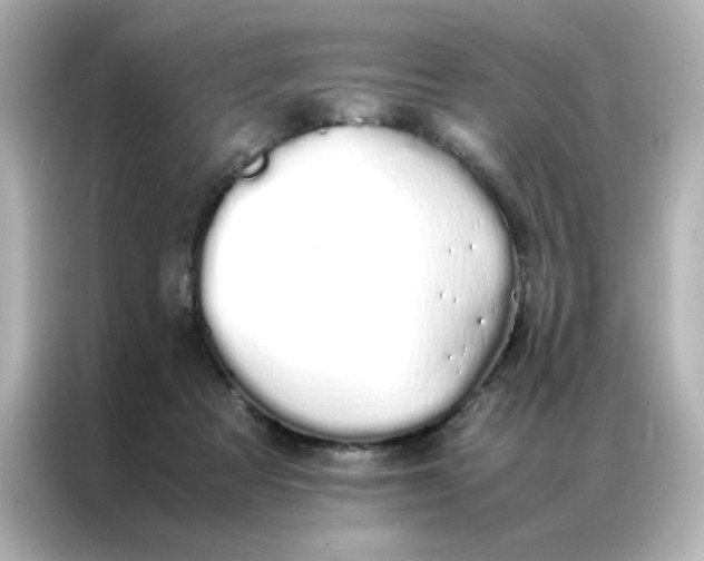 X0000086990313200704301343