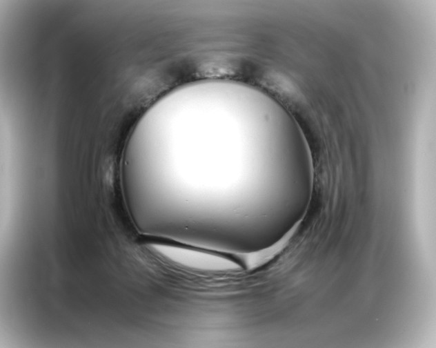 X0000086990315200704301343