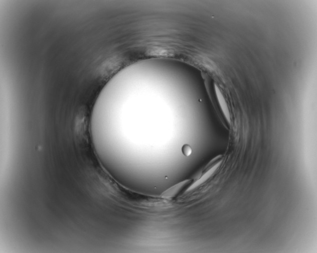 X0000086990322200704301343